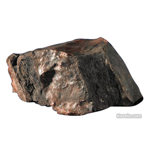 Moon Rock In Rijksmuseumn Is Petrified Wood Kovels